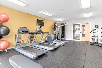 Gym with cardio equipments
